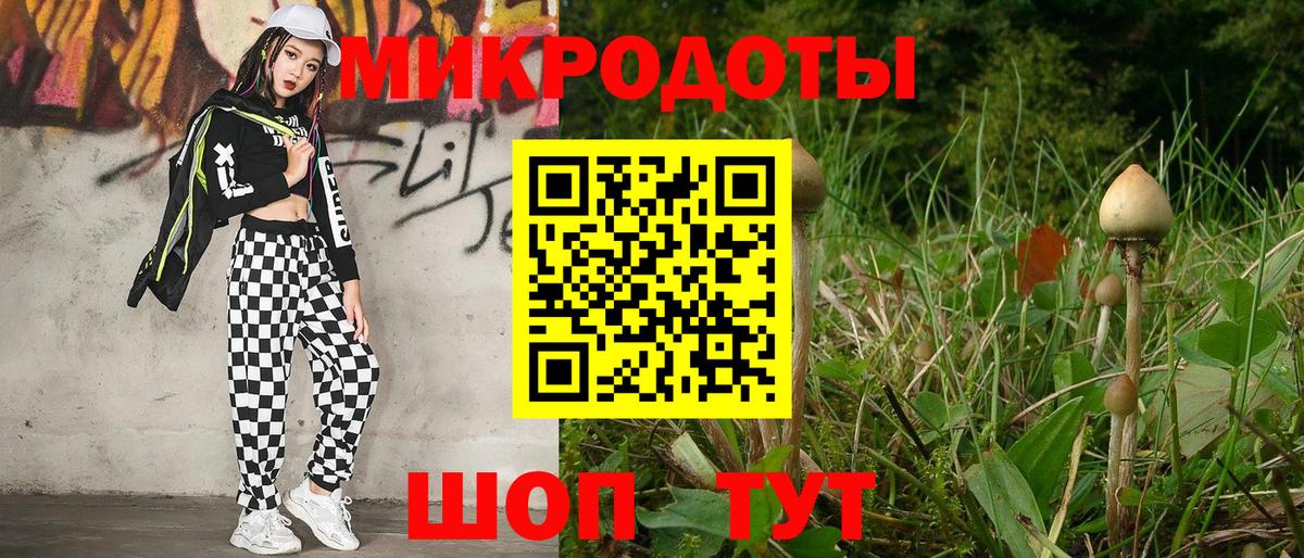 Галлюциногенные грибы Cubensis Волгоград