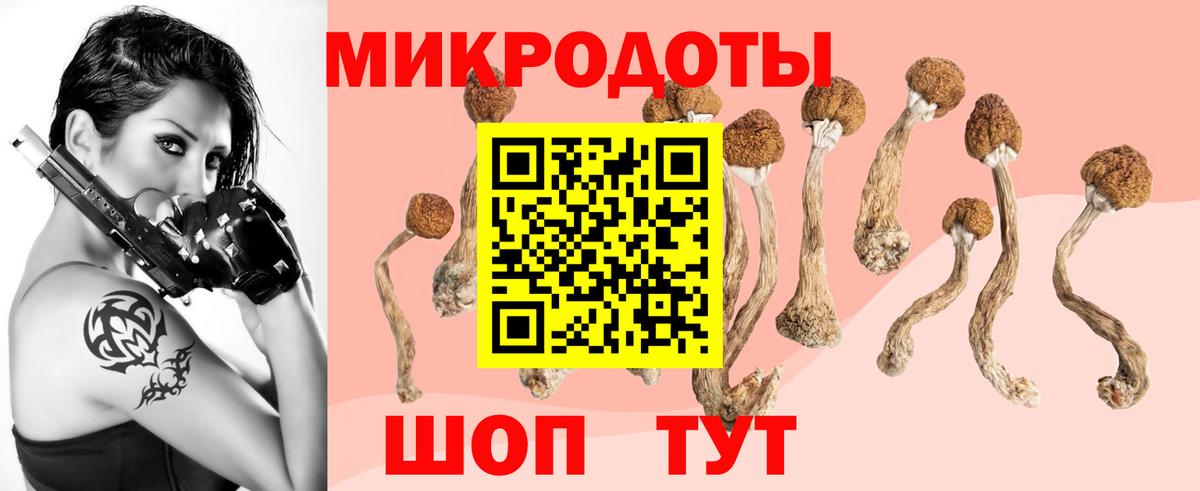 Галлюциногенные грибы Cubensis Волгоград