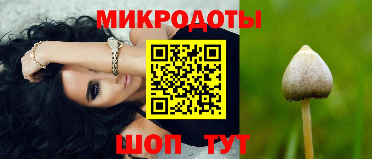 Волгоград  Псилоцибиновые грибы Psilocybe  Вход с VPN 